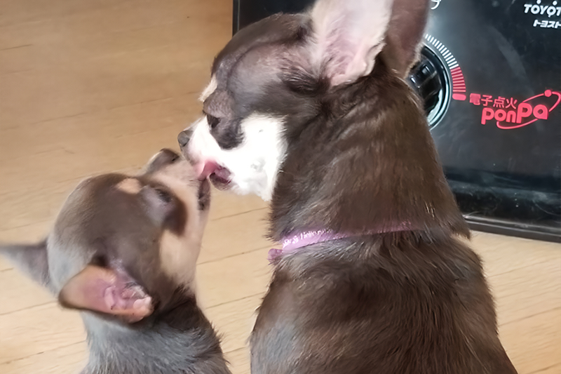 安心のアフターフォロー