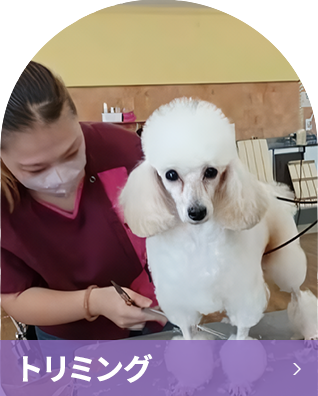 トリミング