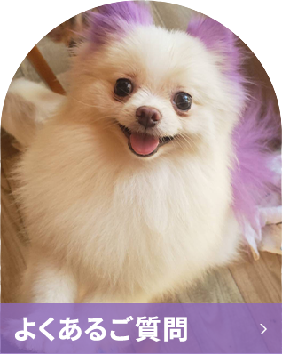 よくあるご質問